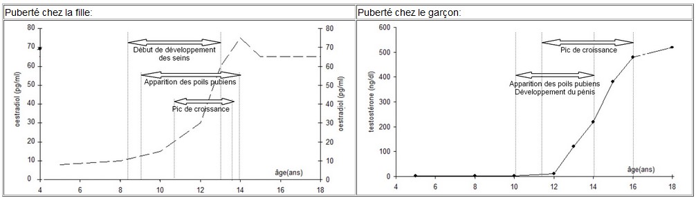 puberte.jpg