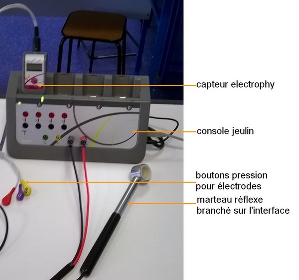 EMG-montageJEULIN.jpg
